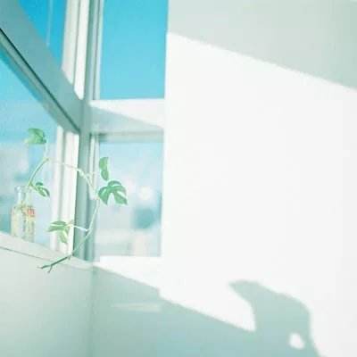 凤凰彩票56677官网入口查询