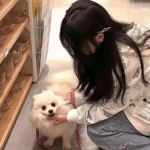 kaiyun体育全站手机app下载